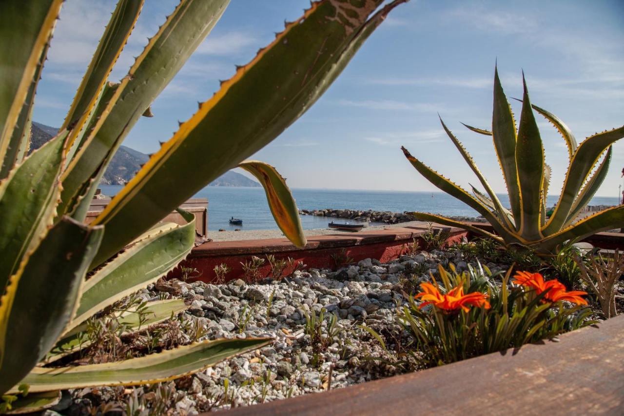 Come Eravamo Monterosso al Mare Luaran gambar